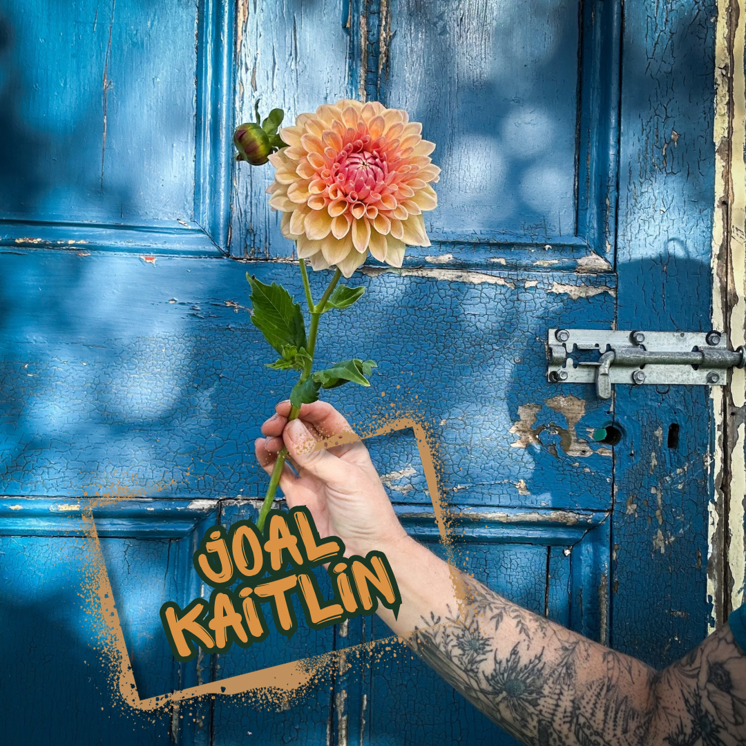 Joal Kaitlin Dahlia Tuber