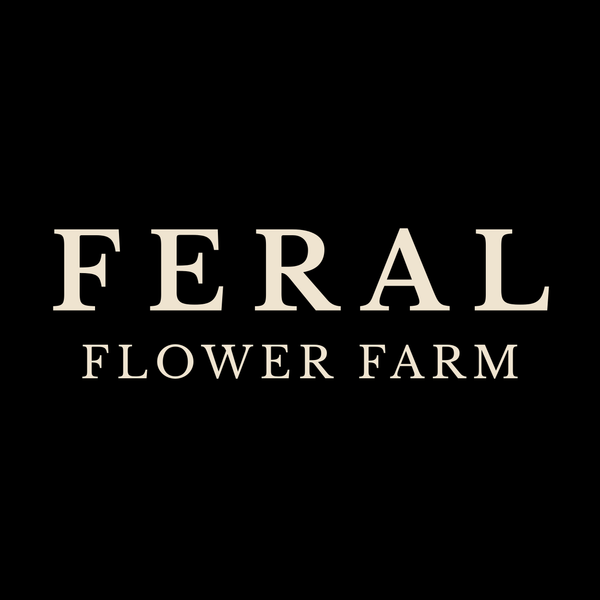 Feral Flower Farm 